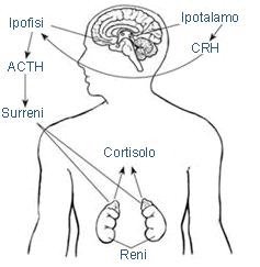 insufficienza-surrenalica