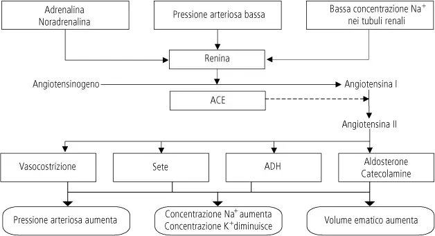 iperaldosteronismo