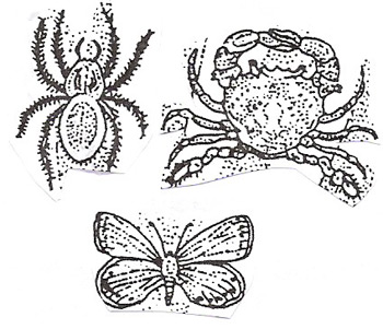 artropodi