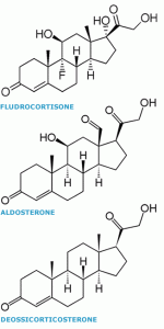 mineralcorticoide