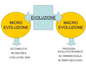 microevoluzione-macroevoluzione