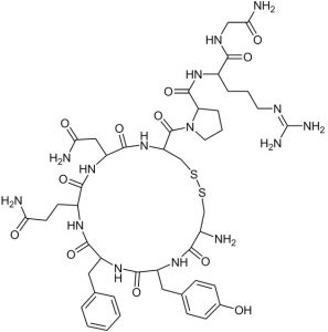 vasopressina