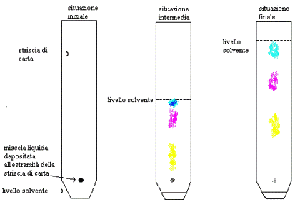 Cromatografia su Colonna