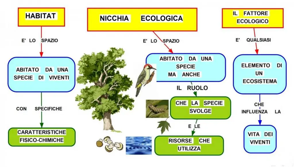 nicchia-ecologica