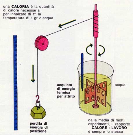 caloria