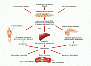 insulina