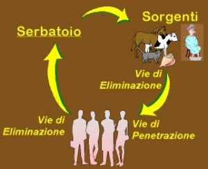 trasmissione-infezioni-serbatoio