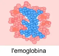 emoglobina