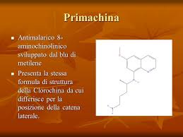 primachina