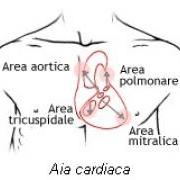 aia-cardiaca