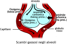 scambi-gassosi
