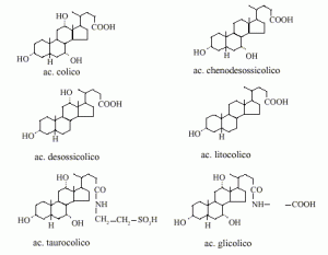 AcidiBiliari