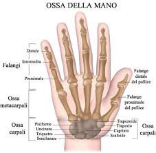 la mano