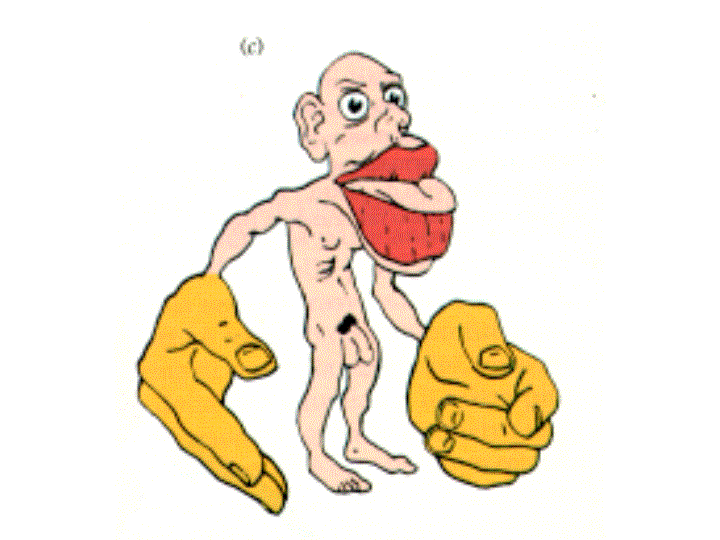 omuncolo