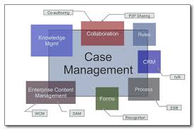 case-management