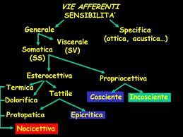 sensibilità