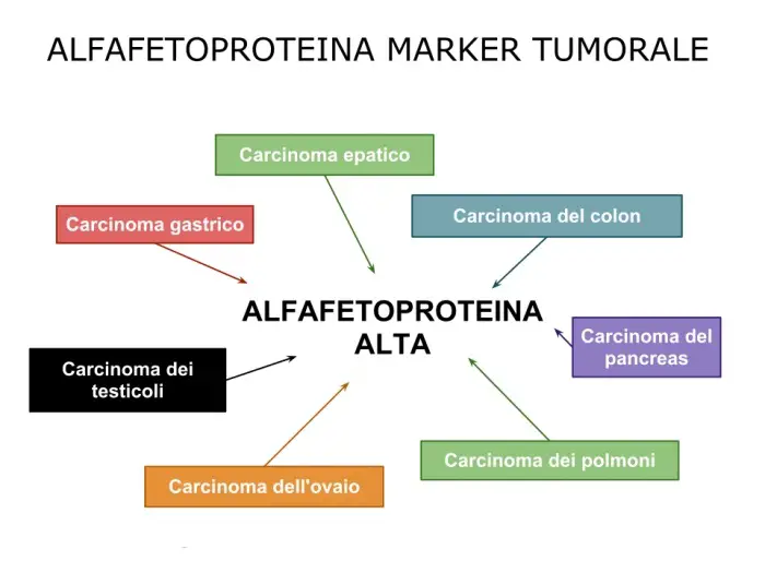 alfafetoproteina