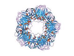 proteina-c