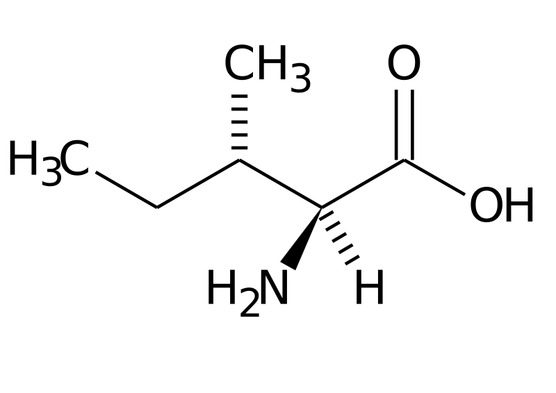isoleucina