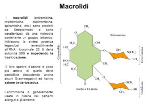 Macrolidi