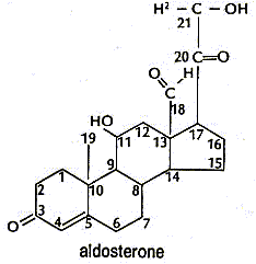 aldosterone