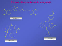 calcio-antagonisti