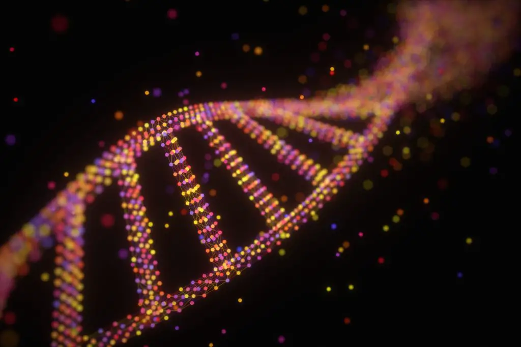 dna-Fattori-trascrizione.jpg