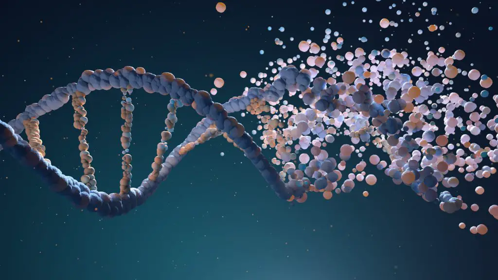 DNA