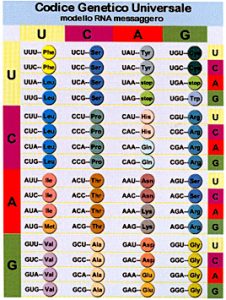 codice-genetico-universale