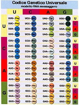 codice-genetico-universale