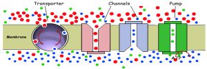 comunicazioni-cellulari