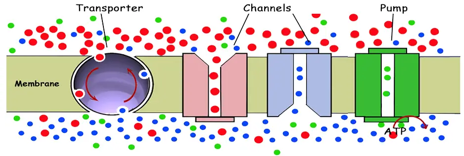 comunicazioni-cellulari