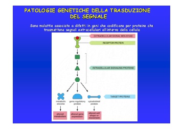 patologie-genetiche-della-trasduzione-del-segnale