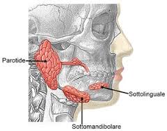 lupus-eritematoso-sistemico