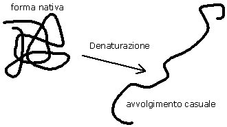 denaturazione